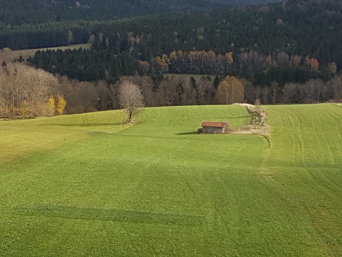 Ferienwohnung Gut Steinhügel Bischofsmais Exterior foto